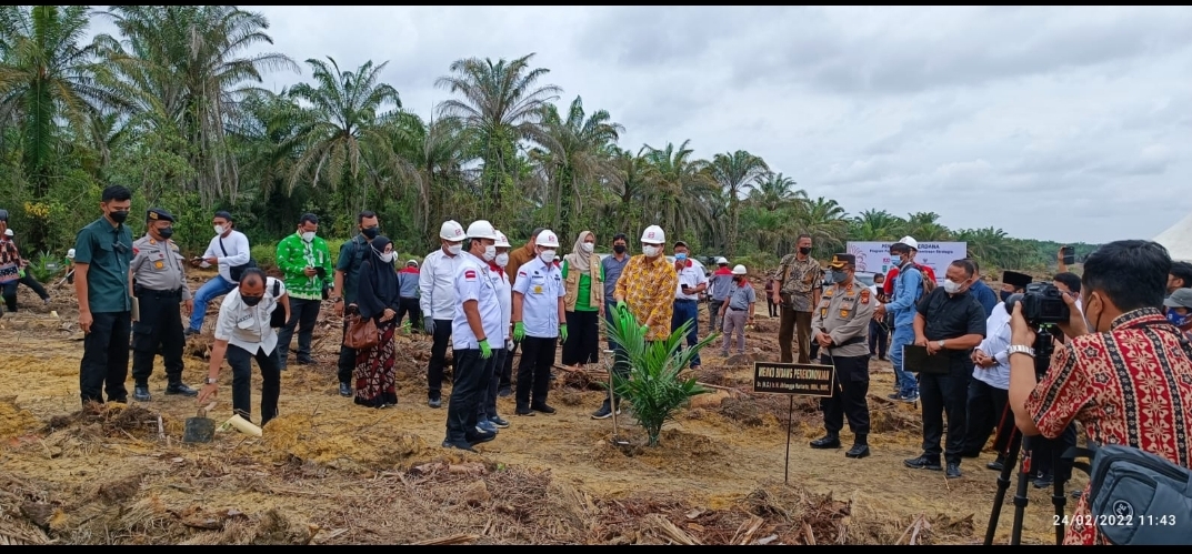 Sinar Mas Agribusiness and Food Program Menggelar Program  Peremajaan Sawit Rakyat (PSR) 