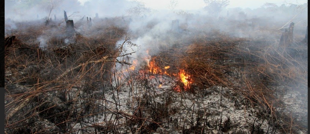 Padamkan 25 Hektar Lahan Terbakar di Rohul Dua Helikopter Water Boombing Dikerahkan