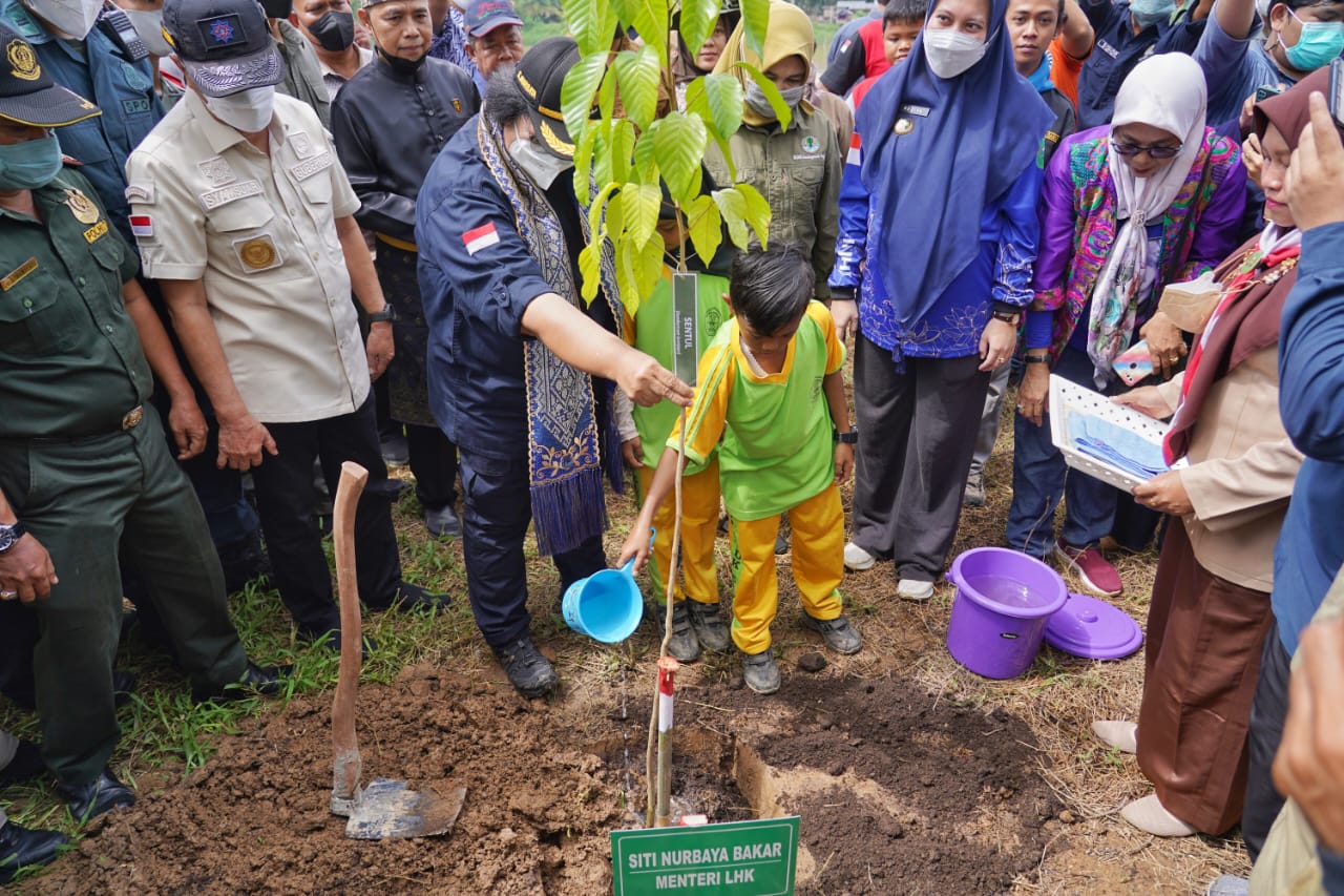 Menteri LHK Tanam Pohon di Inhu, Dukung Pemberdayaan Suku Talang Mamak dan Melayu Tua